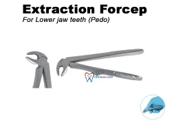 Extraction Forceps Pedo Extraction Forceps